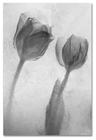 'Flowers on Ice-1' Canvas Art by Moises Levy