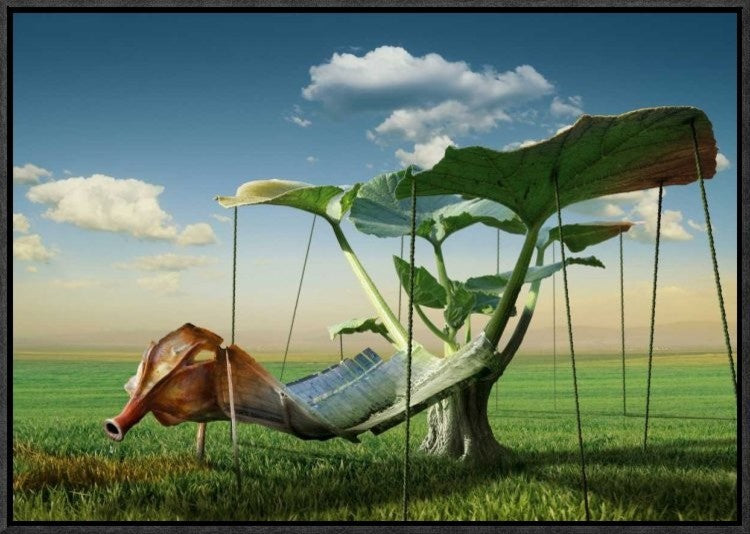 "Untitled" Framed Canvas Giclee by Radoslav Penchev, 23x16"