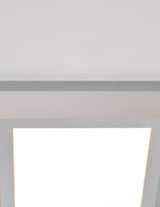 Atlas LED Rectangular Surface Mount, Satin Nickel