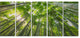 "Peaks of Bamboo in Kyoto Forest" Oversized Forest Wall Art, 5 Panels, 60"x28"