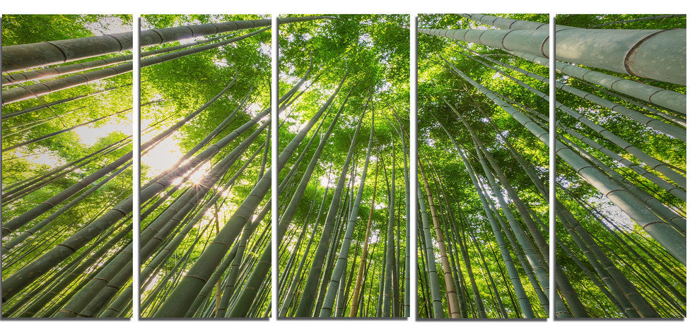 "Peaks of Bamboo in Kyoto Forest" Oversized Forest Wall Art, 5 Panels, 60"x28"