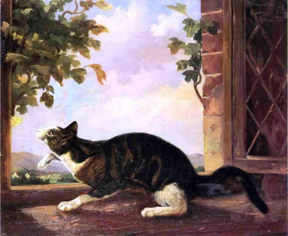 John Woodhouse Audubon Cat Stalking a Butterfly Gallery Wrapped Canvas Print