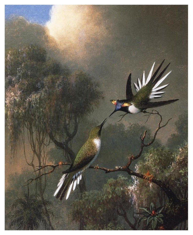 "Two Sun Gems On A Branch" Digital Paper Print by Martin Johnson Heade, 15"x18"