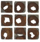 Uttermost Jungle Wood Paneled Wall Art, Set of 9