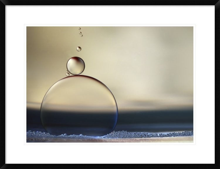 "The Stragglers" Framed Digital Print by Heidi Westum, 32x24"