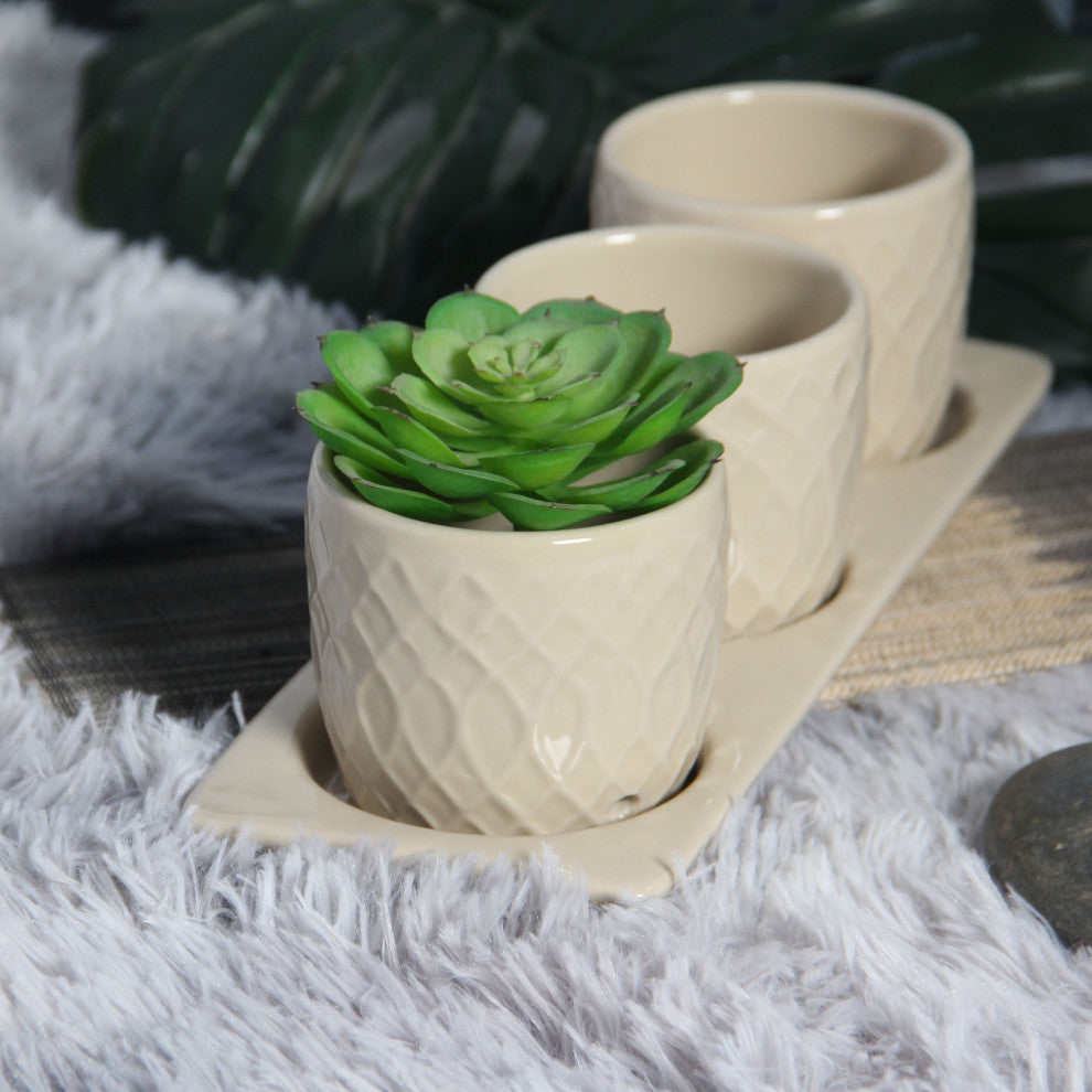 Dahlia Planter Set with Disk, Cream