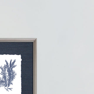 Coral on Grasscloth Framed Art, 4-Piece Set