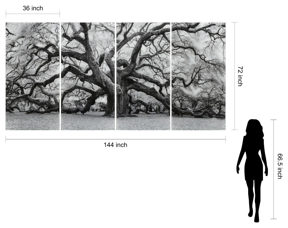 "The Angel Oak ABCD" Frameless Tempered Glass Panel Graphic Wall Art Set