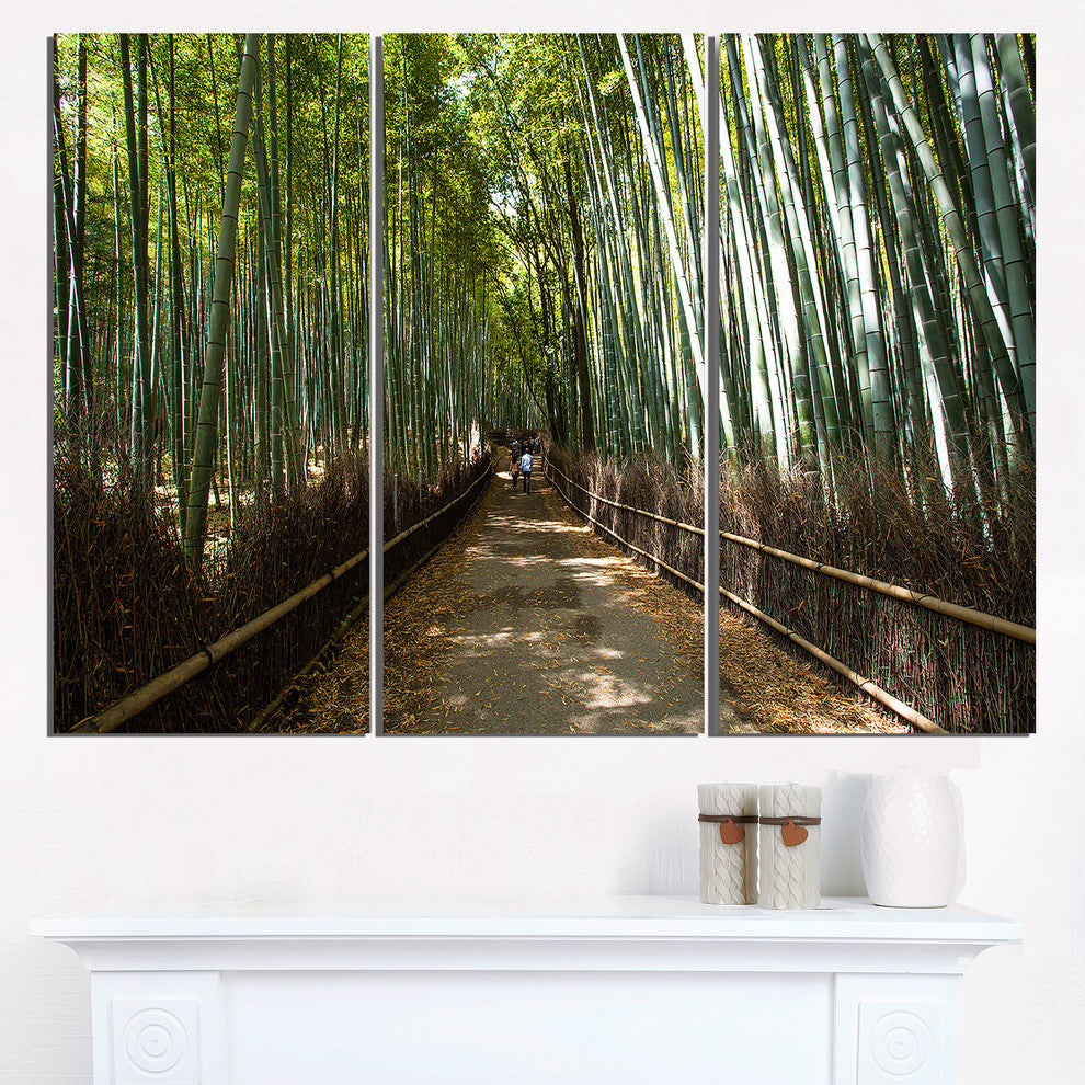 "Wide Pathway in Bamboo Forest" Forest Metal Wall Art, 3 Panels, 36"x28"