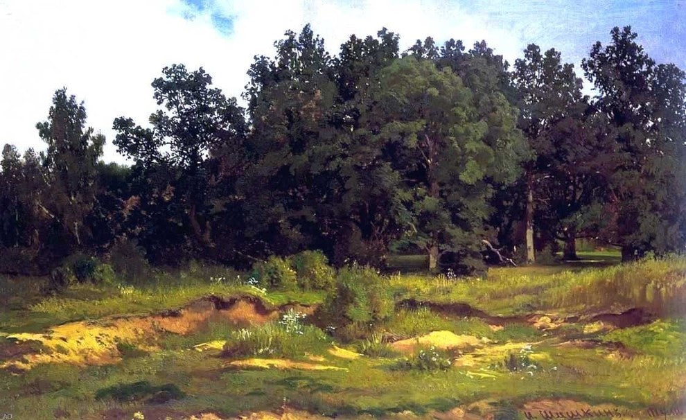 Ivan Ivanovich Shishkin Oak Grove in a Muzzy Day Wall Decal