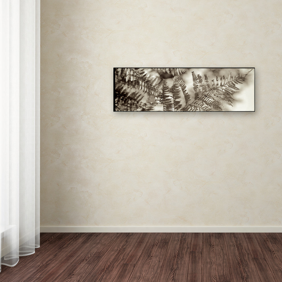 Alan Blaustein ''Florison 101'' Canvas Art, 47x16