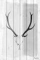 "Head Gear" Painting Print on White Wood, 40"x60"