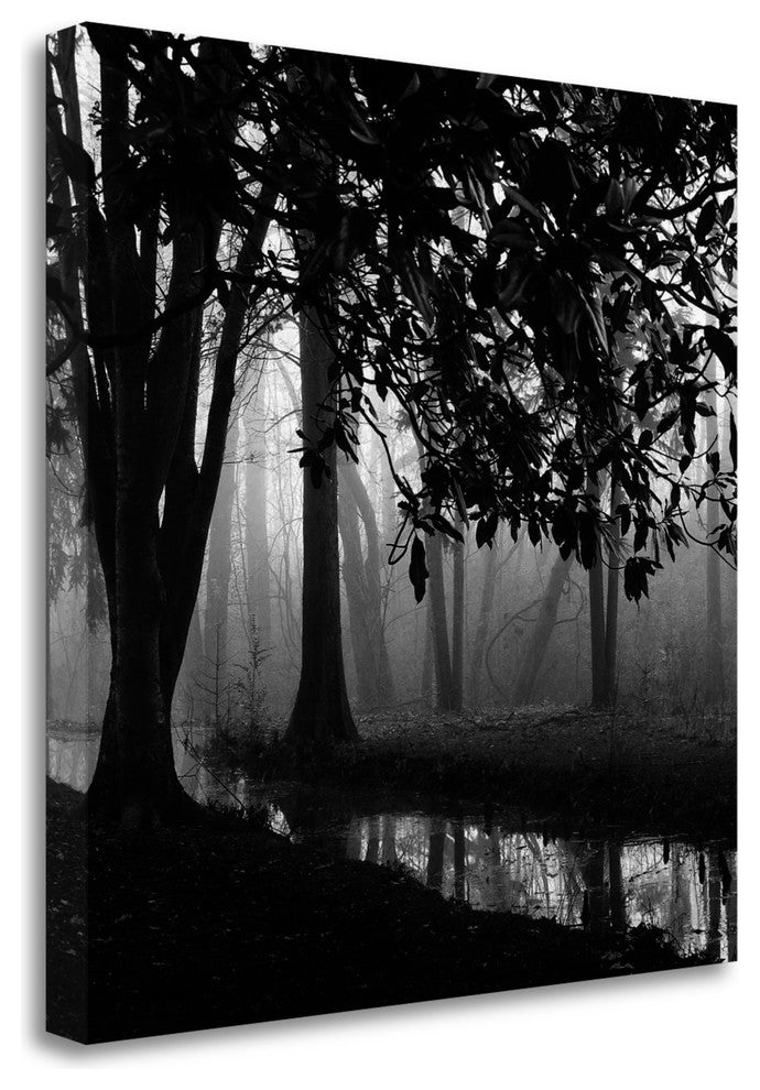 "Woodland No. 1" By Nicholas Bell, Giclee Print on Gallery Wrap Canvas