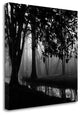 "Woodland No. 1" By Nicholas Bell, Giclee Print on Gallery Wrap Canvas