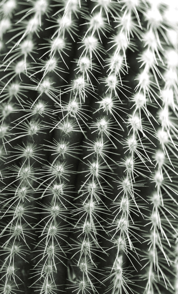 Silver Spikes Grand 1, Giclee Reproduction Artwork