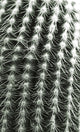 Silver Spikes Grand 1, Giclee Reproduction Artwork