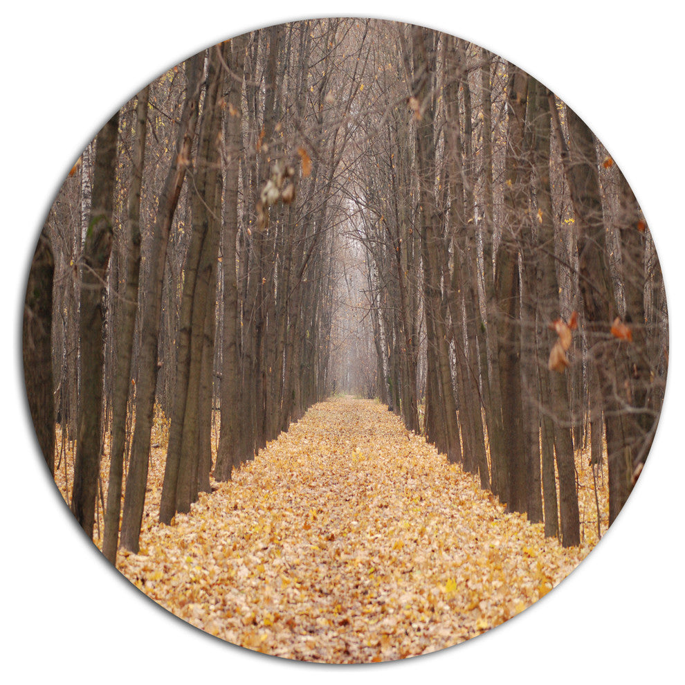 Yellow Road Through Fall Forest, Forest Round Metal Wall Art, 11"