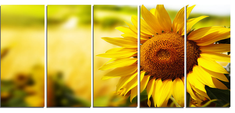 Beautiful Tuscany Sunflower, Floral Canvas Art Print, 60"x28", 5 Panels