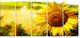 Beautiful Tuscany Sunflower, Floral Canvas Art Print, 60"x28", 5 Panels