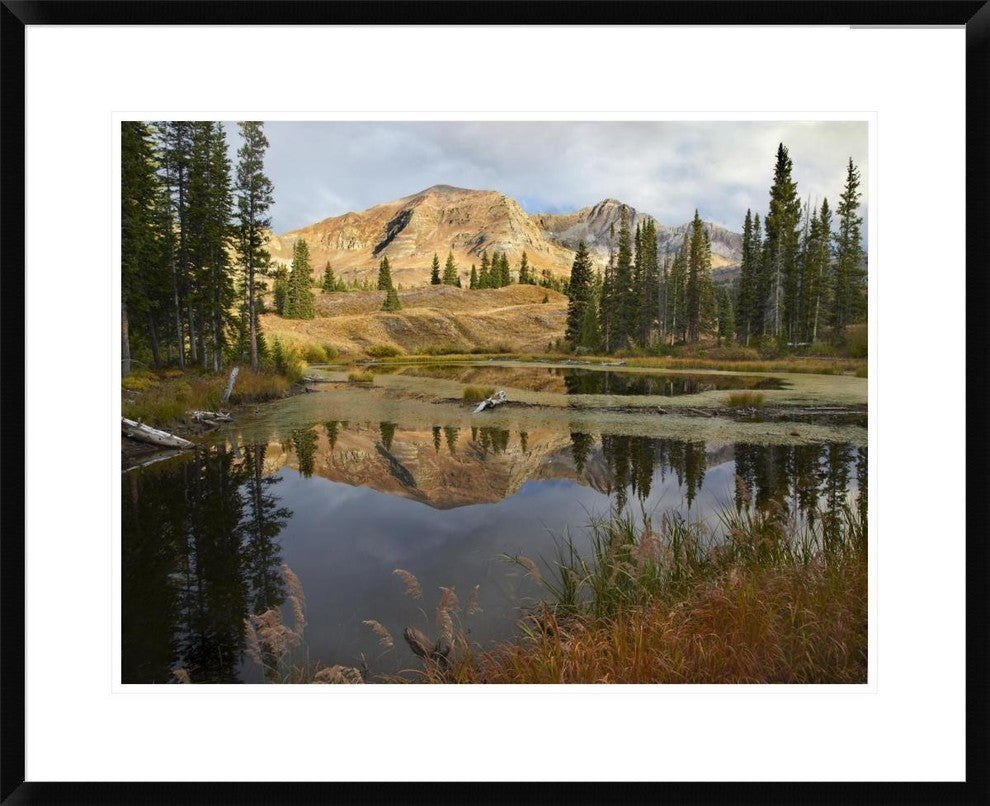 Ruby Range Reflected In Pond, Raggeds Wilderness, Colorado, 30"x24"