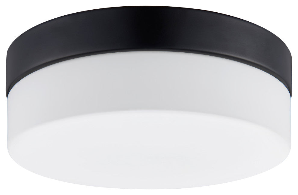 Nova 2 Light 9.45' Diamter Flushmount Mount Ceiling Fixture