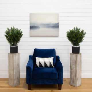 Lifestyle scene showing two potted trees placed on a mantel in a living room.