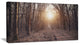 Forest Pathway View at Sunset, Modern Forest Canvas Art, 32"x16"