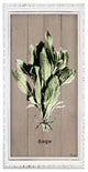 Sage Wrapped Canvas Botanical Kitchen Wall Art
