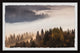 "Into the Forest" Framed Painting Print, 12x8