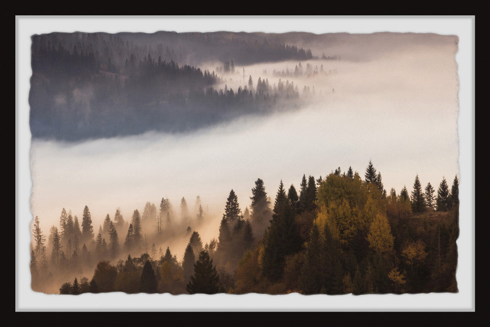 "Into the Forest" Framed Painting Print, 12x8