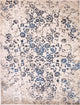 Modern Transitional Floral Oriental Distressed Area Rug, Beige, 4x6'
