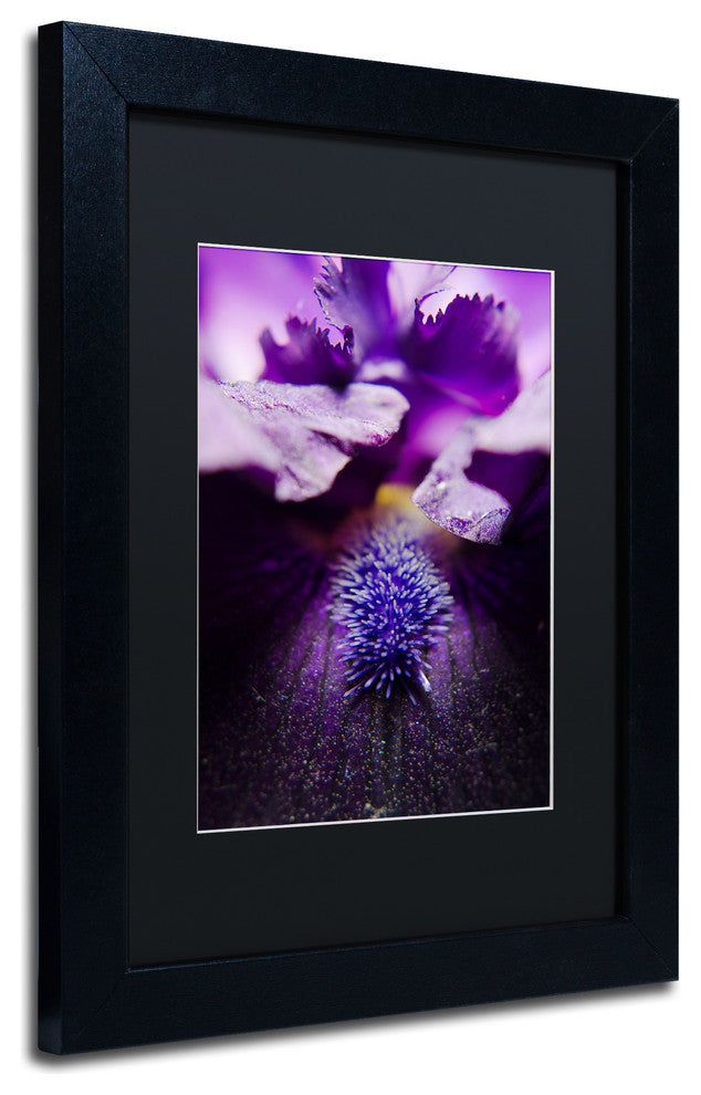 PIPA Fine Art 'Stigma of Iris' Matted Framed Art, 14x11