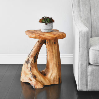 Unique Root End Table