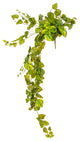 Vickerman 51" Green Pothos Leaf Hanging Bush