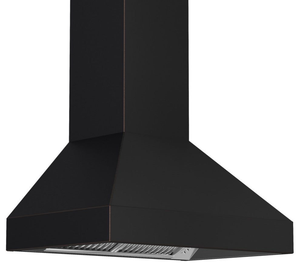 ZLINE 48 in. Designer Series Wall Mount Range Hood, 8667B-48