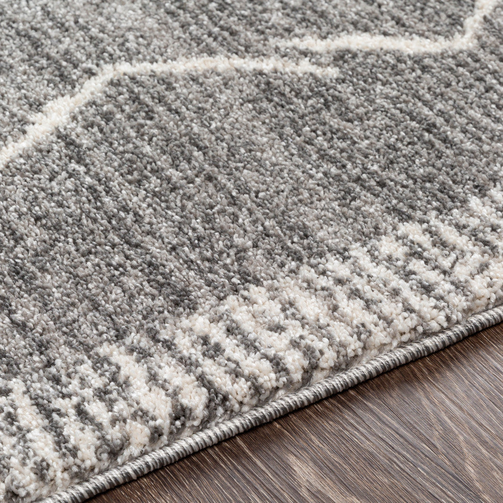 Surya Andorra ARD-2309 5'3" x 7'3" Rug