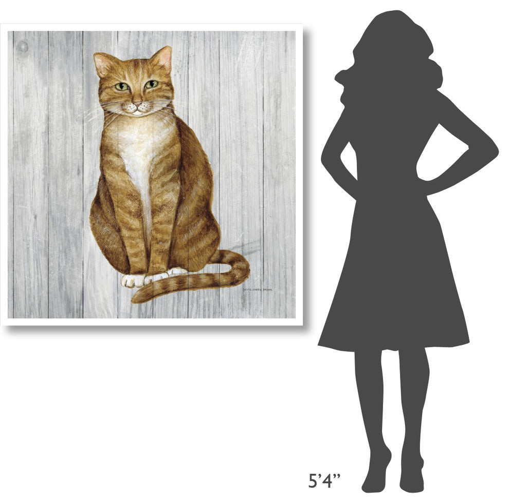 "Country Kitty II on Wood" Digital Paper Print by David Carter Brown, 42"x42"