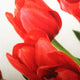 Pillow Decor - Spring Tulips Throw Pillow 12x20