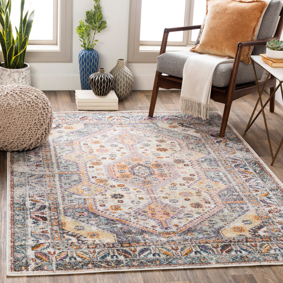 New Mexico NWM-2309 Rustic Colorful/Gray 7'10"x10'3" Area Rug