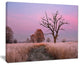 "Fairy Autumn Sunrise With Lonely Tree" Landscape Wall Art, 20"x12"