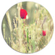 Meadow With Wild Poppy Flowers, Flower Round Wall Art, 36"