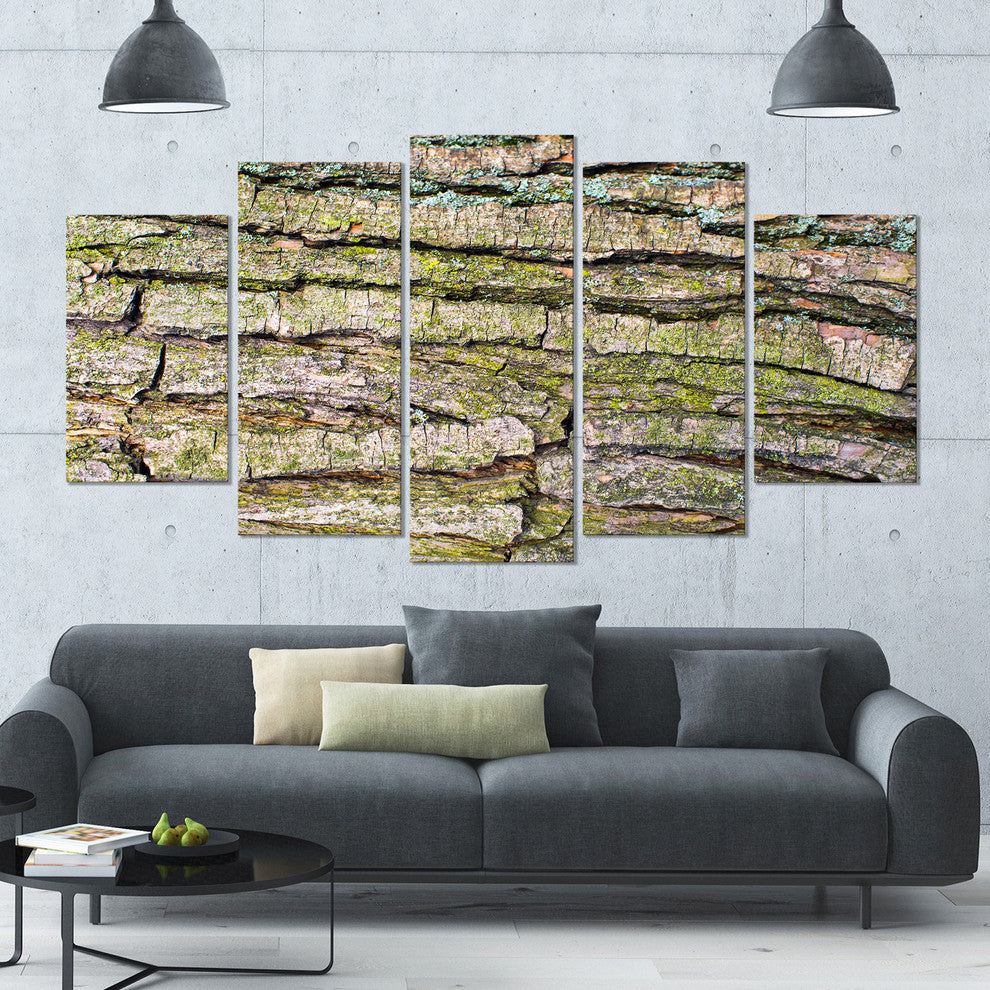Thick Tree Skin Close Up, Floral Canvas Art Print, 60"x32", 5 Panels