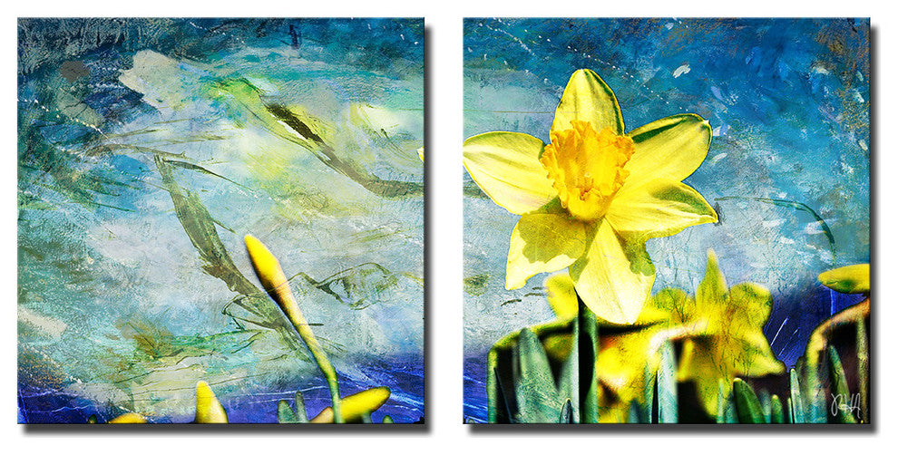 Painted Petals VII Canvas Art, 2-Piece Set, 20"x20"