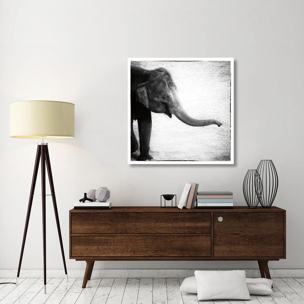 "Elephant II" Digital Paper Print by Debra Van Swearingen, 42"x42"