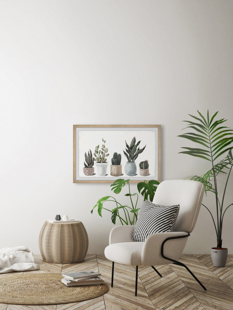 "Ultimate Succulent Collection" Framed Painting Print