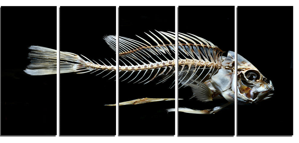 Fish Skeleton Bone on Black, Animal Canvas Art Print, 60"x28", 5 Panels