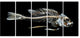 Fish Skeleton Bone on Black, Animal Canvas Art Print, 60"x28", 5 Panels