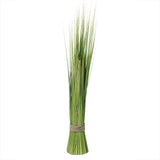 37.75" Onion Grass Bundle Wrapped With Tan Rope