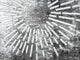 Abani Luna LUN140A Grey and Gold Fireworks Area Rug