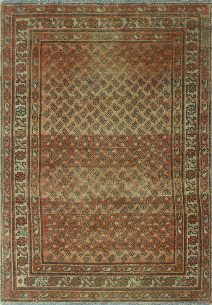 Semi-Antique Minerva Rust Rug